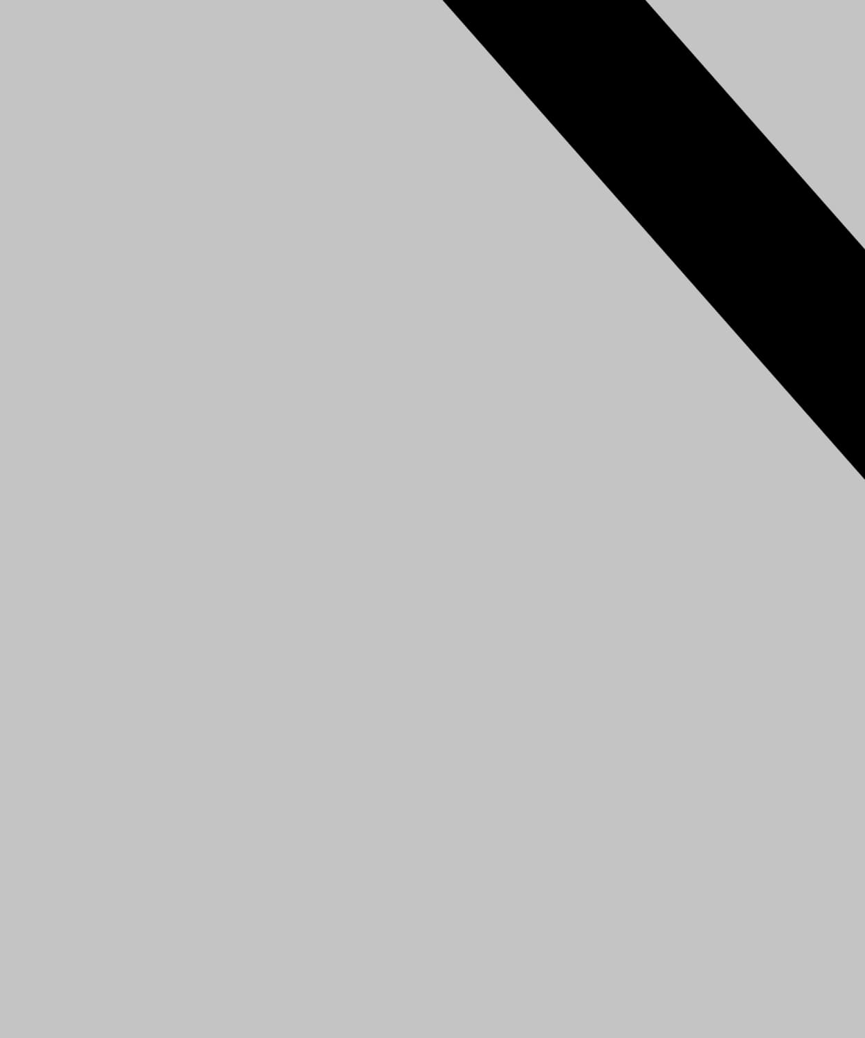 Sterbebild - Allgemein